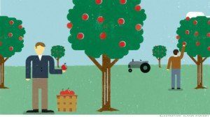 Growth Strategy